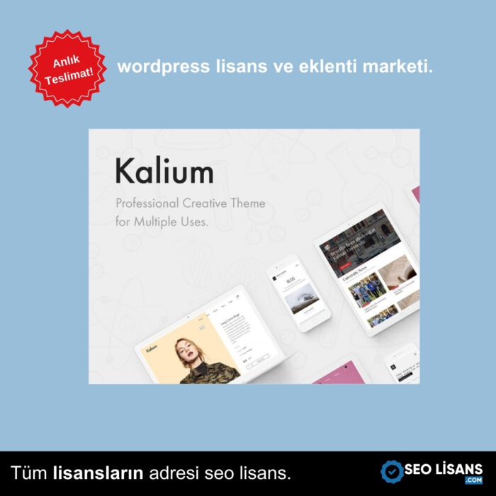 Kalium Creative Multipurpose WordPress WooCommerce 1